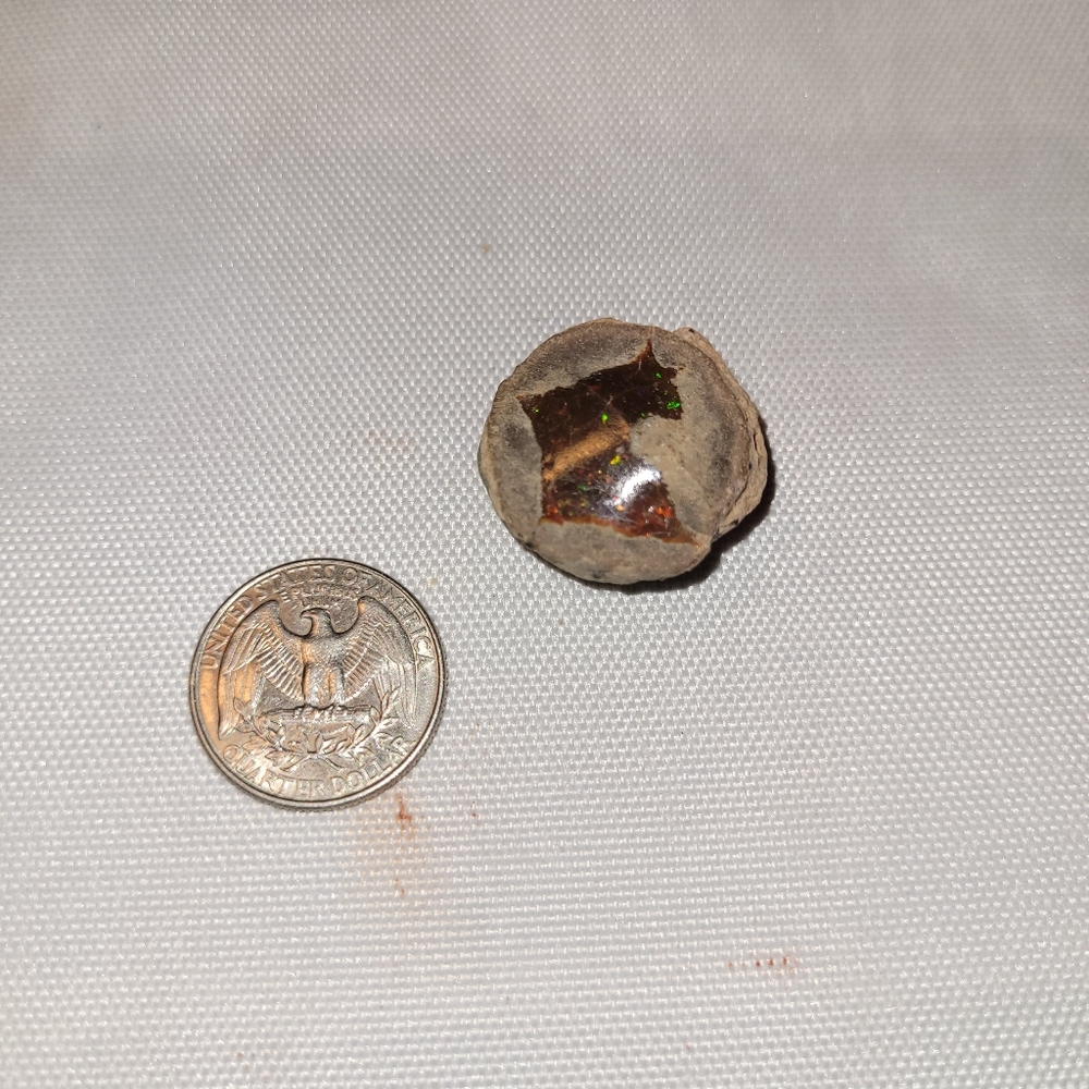 Extremely Rare Natural Jewelry Grade Raw Chocolate Ethiopian Wollo Shewa Opal